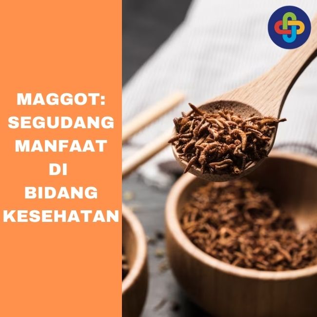 Maggot: Segudang Manfaat di Bidang Kesehatan